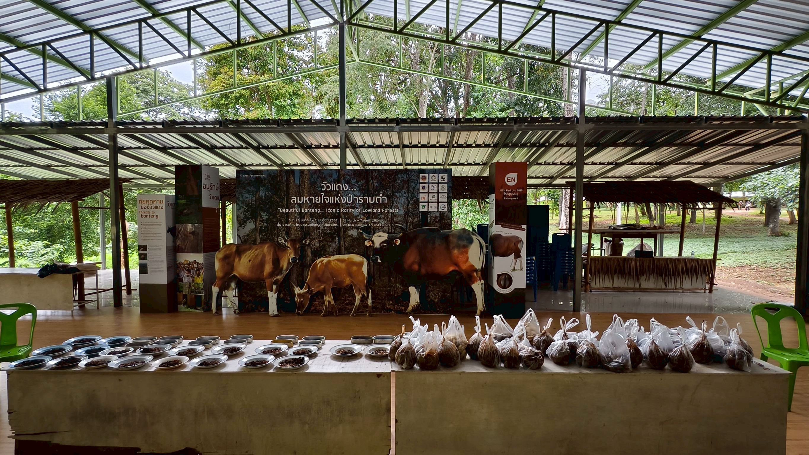 กิจกรรมเพื่อความรับผิดชอบต่อสังคม